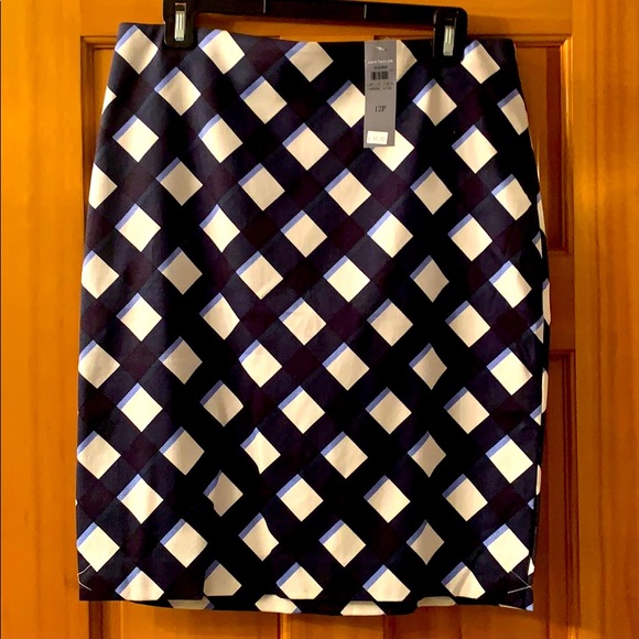 NWT Blue Ann Taylor Skirt - Picture 1 of 5